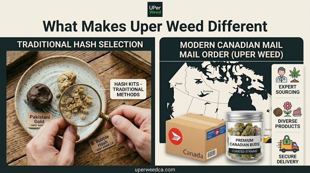 What Makes Uper Weed Different than other companies