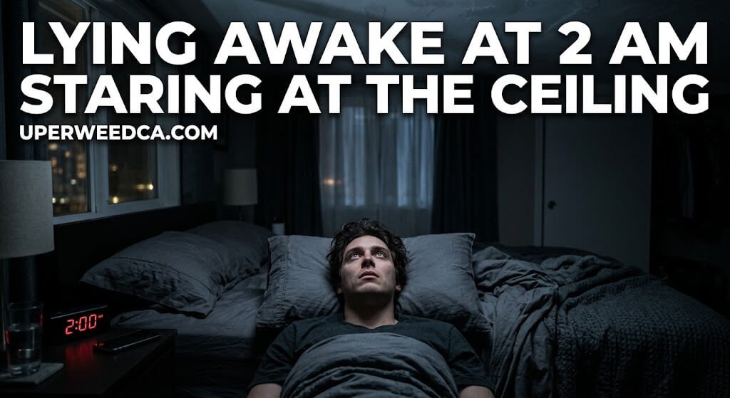 lying awake at 2 AM 