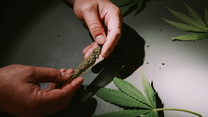 Cannabis and Your Health: Honest Answers to Real Questions