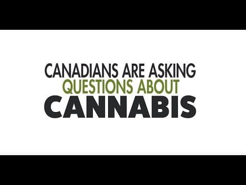 The Big FAQ: 40 Questions Every Canadian Cannabis User Asks