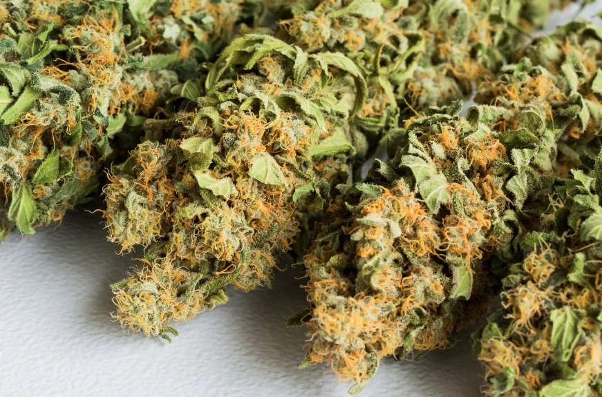 THC vs. CBD: The Complete Breakdown