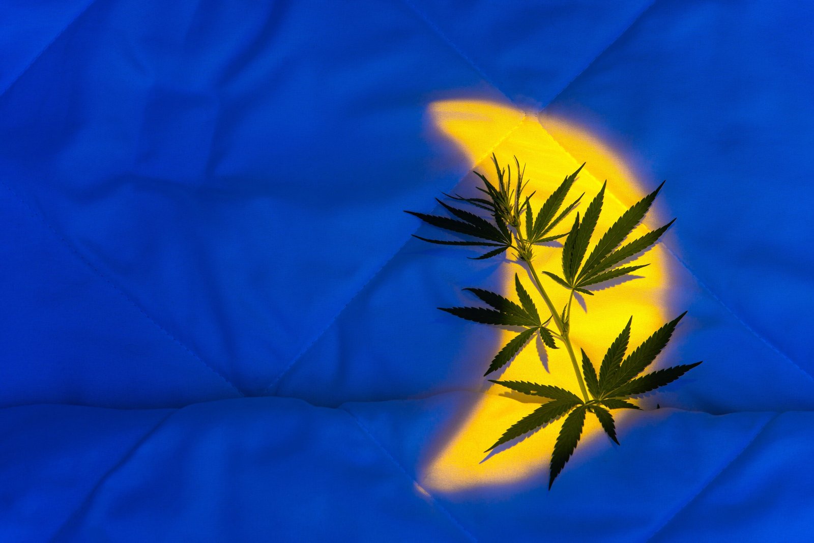 Is Indica Better Than Sativa for Evening Use? Buying Tips Explained