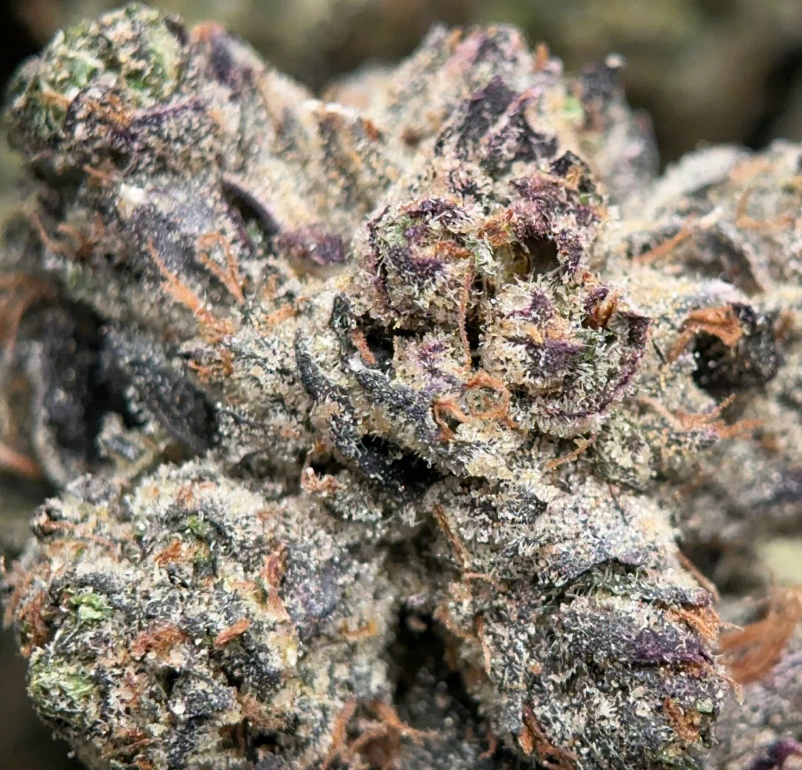 THC Indica Flower