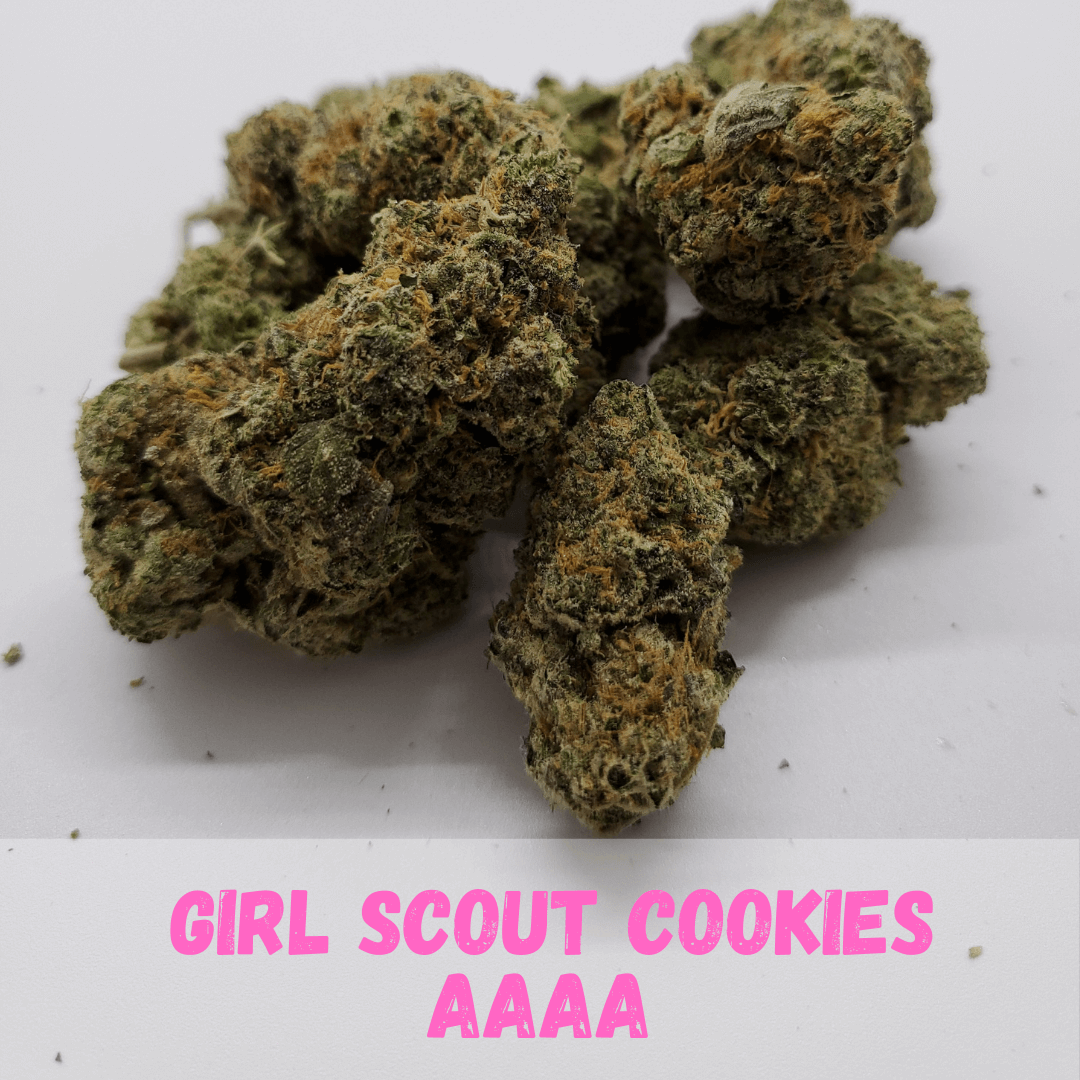 Girl Scout Cookies Strain