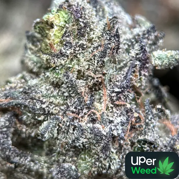 Super Stinky