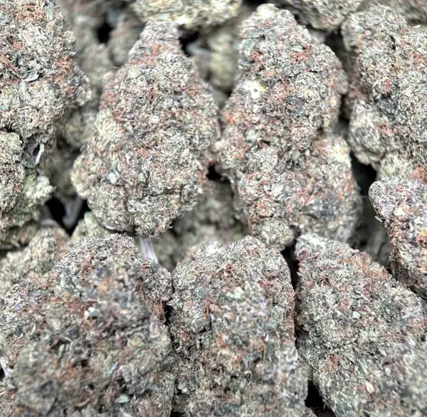 Astro Kush