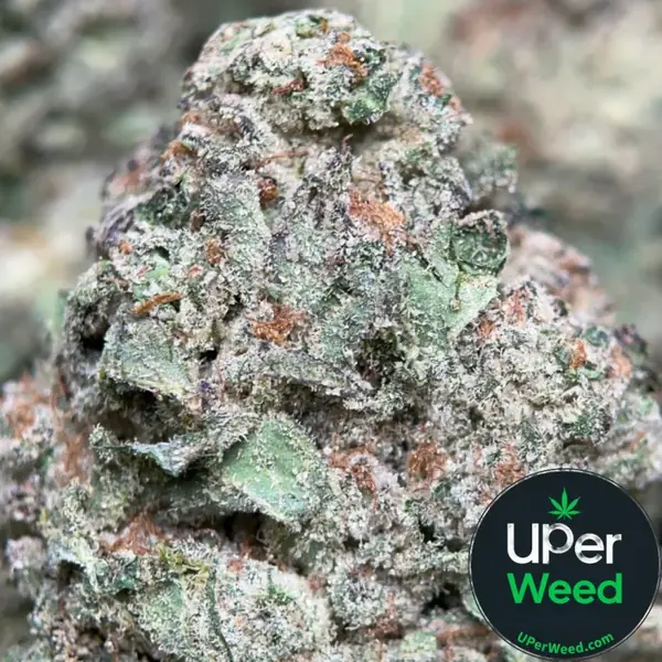 Blue Dream