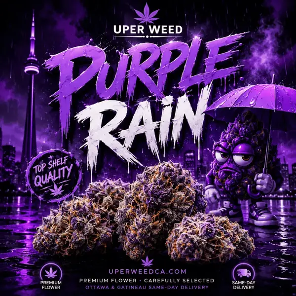 Purple Rain