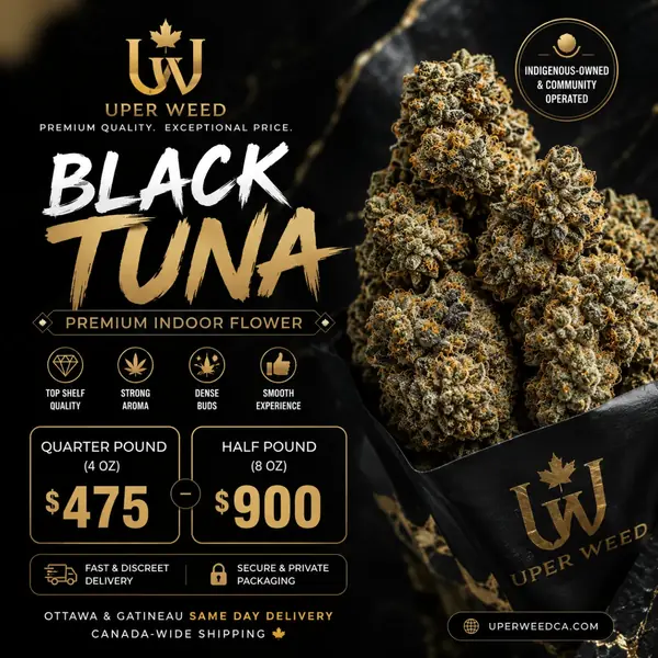 BC Black Tuna