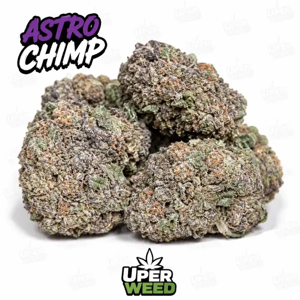 Astro Chimp