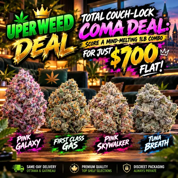 TOTAL COUCH-LOCK COMA DEAL: Score a Mind-Melting 1lb Combo for Just $700 Flat!