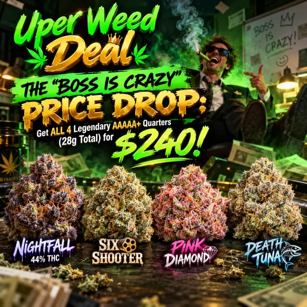 THE "BOSS IS CRAZY" PRICE DROP: Get ALL 4 Legendary AAAAA+ Quarters (28g Total) for $240!