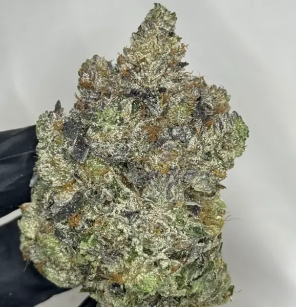 Loud Dream
