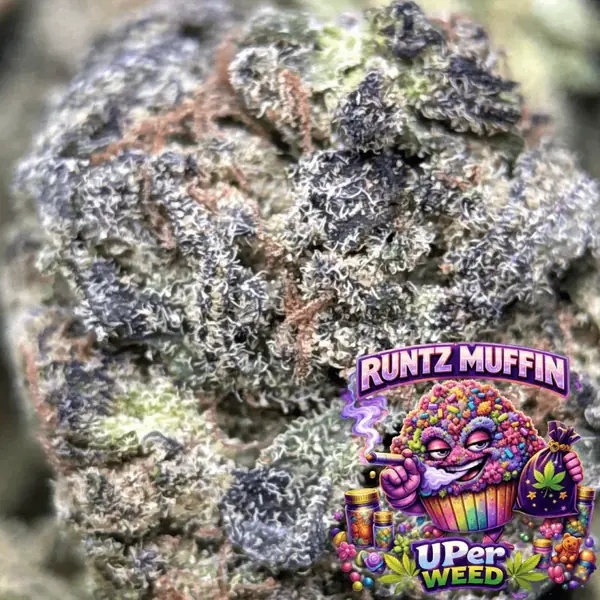 Runtz Muffin