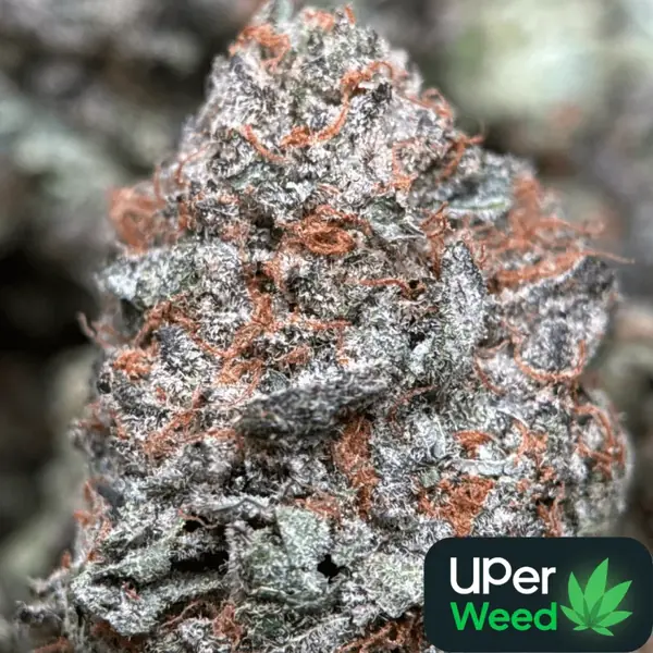 Sweet Gas