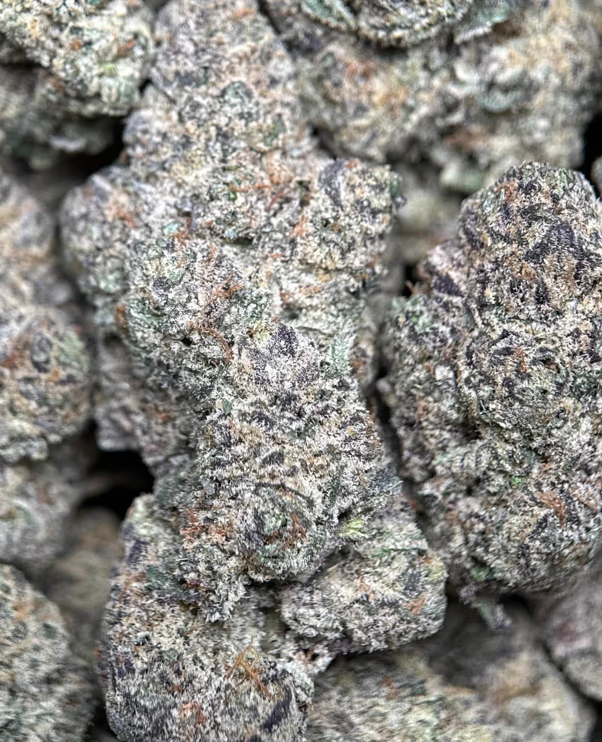 Ninja Cookies photo 4