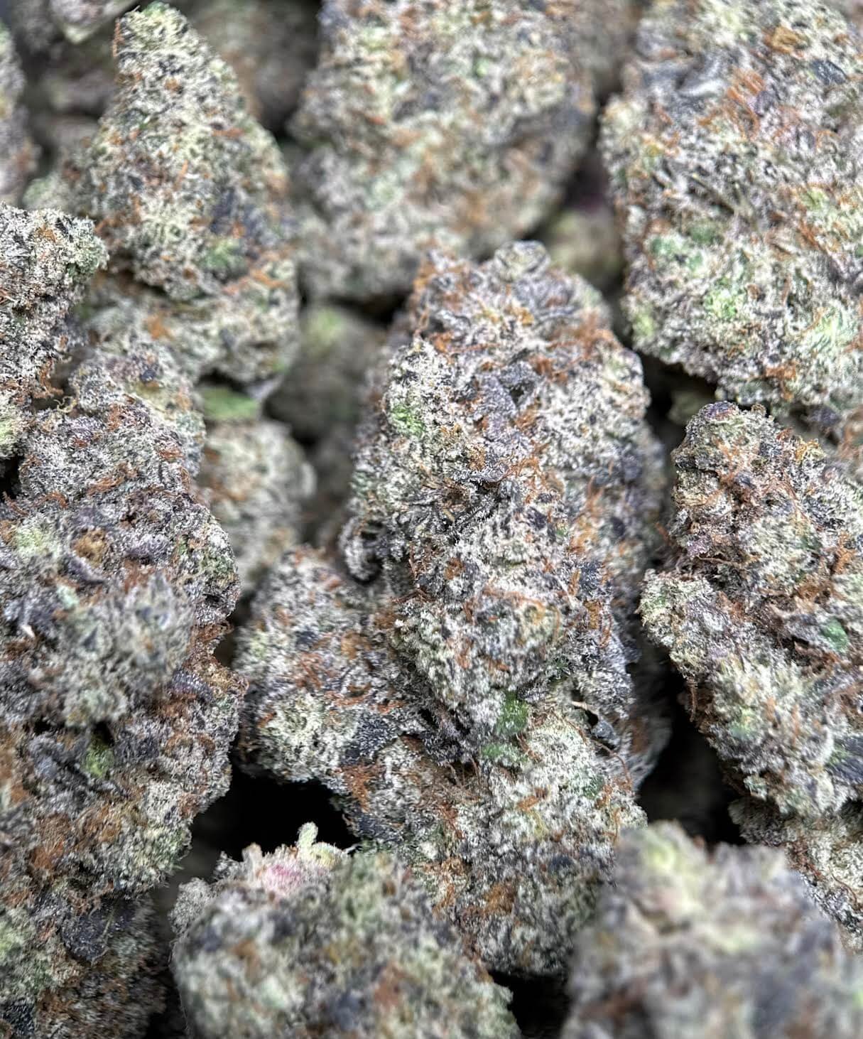 Purple Gelato photo 3