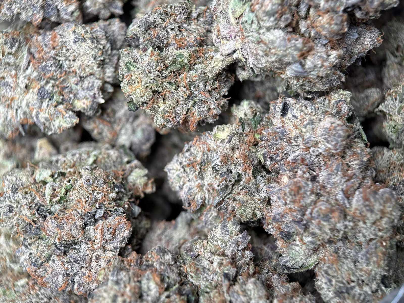 Pink Mega Glue photo 3