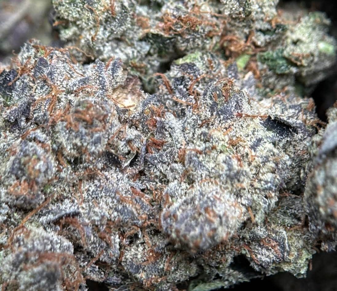 Pink Mega Glue photo 5