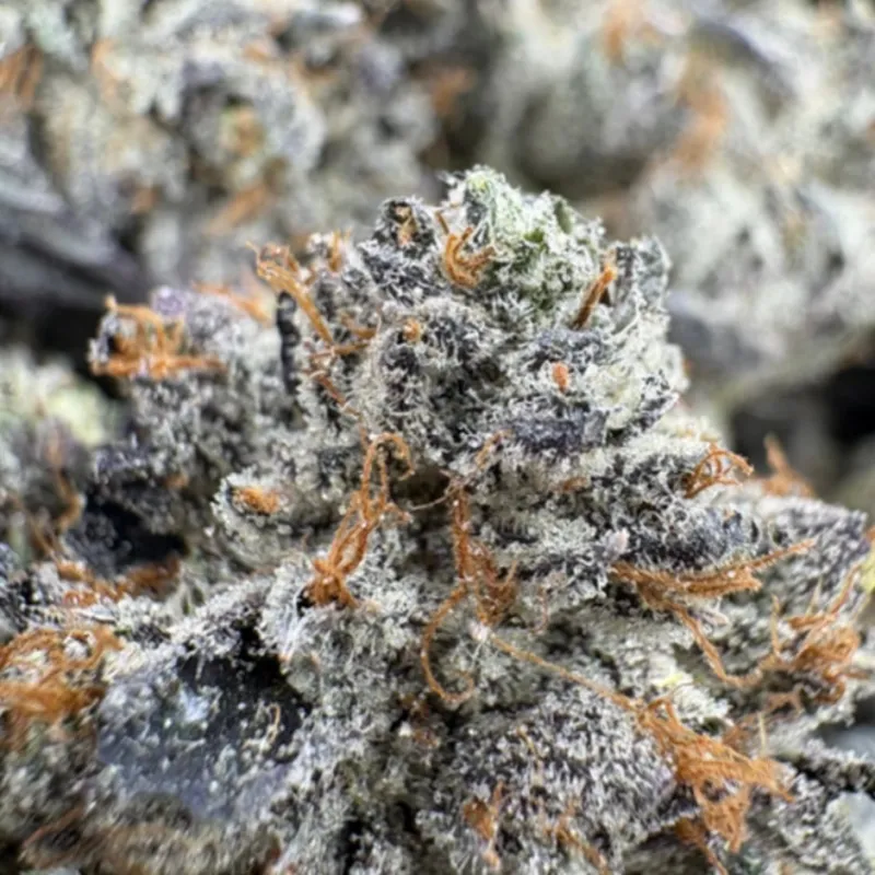 95 Dead Indica - Premium Cali Brick photo 1