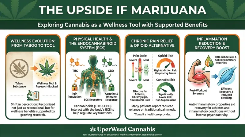 Infographic: The Upside if Marijuana