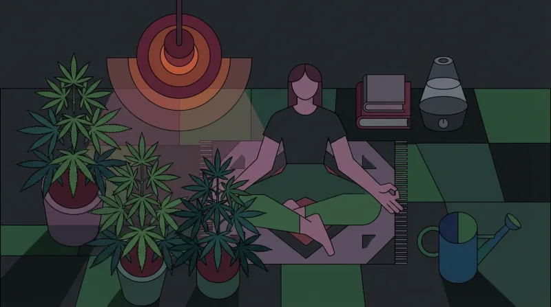Tips on Growing Cannabis Indoors