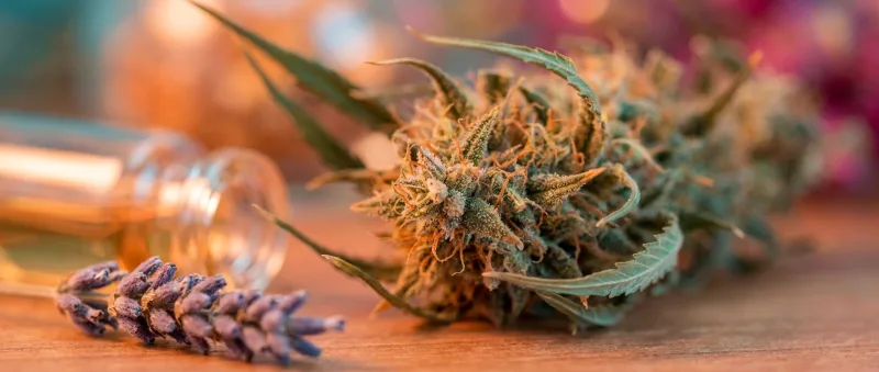 Cannabis That Helps With Sleeping