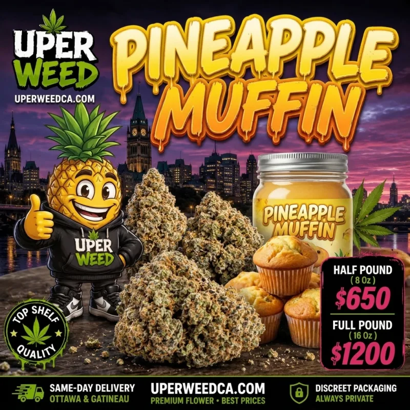 Pineapple Muffin photo 1