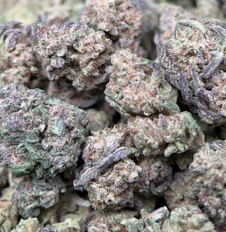 Alien Cookies photo 3