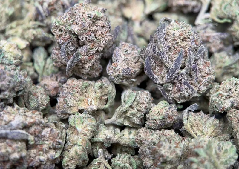 Alien Cookies photo 5
