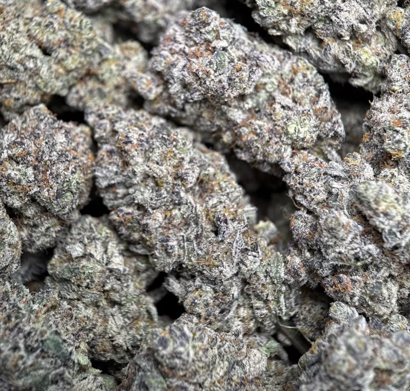 Amnesia Gold 6a photo 3