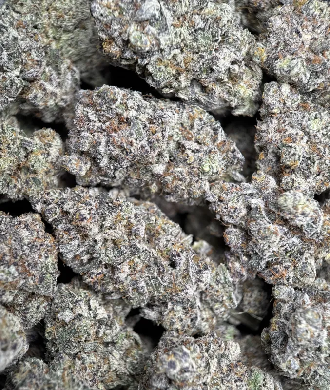 Amnesia Gold 6a photo 5