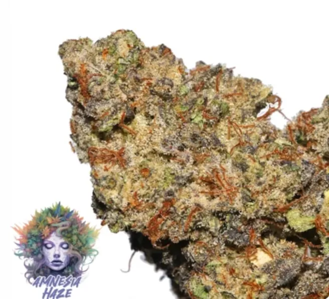 Amnesia Haze - 2oz Bulk Deal For $180 photo 1