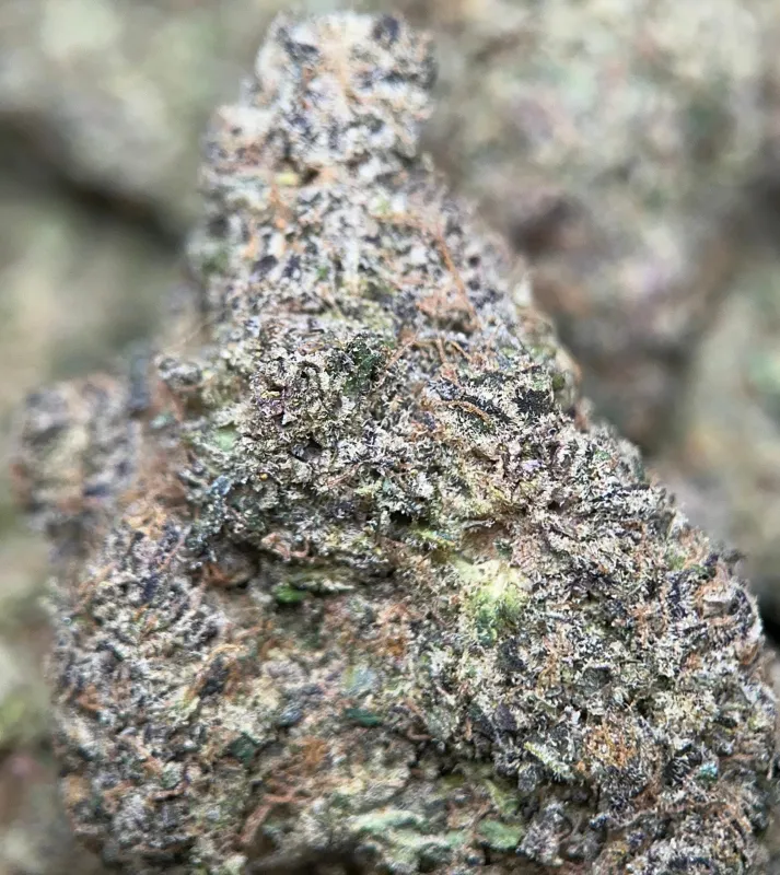 Banana Cream Pie photo 8