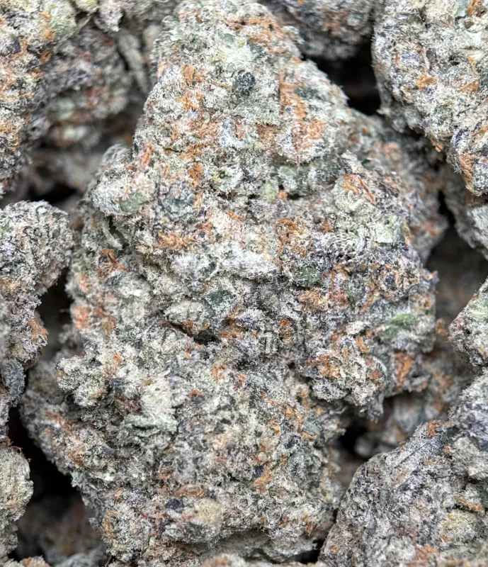 Banana OG photo 2
