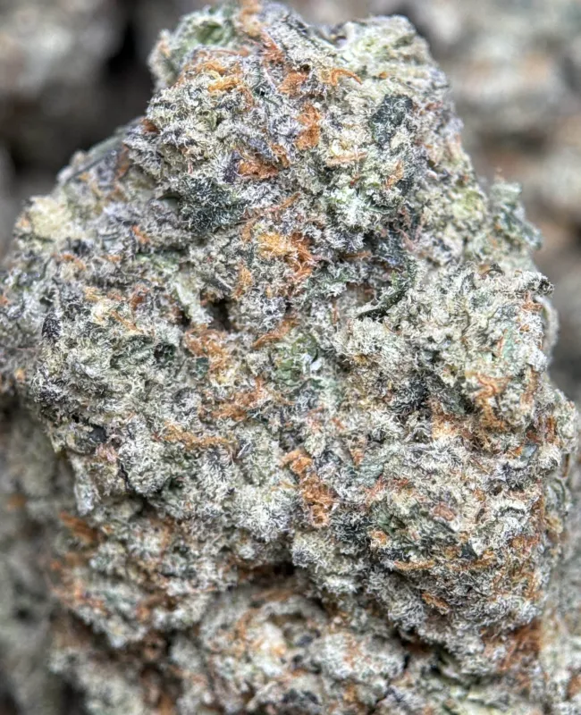 Banana OG photo 5