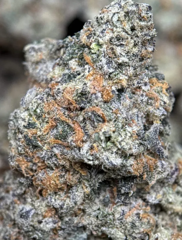 Banana OG photo 6