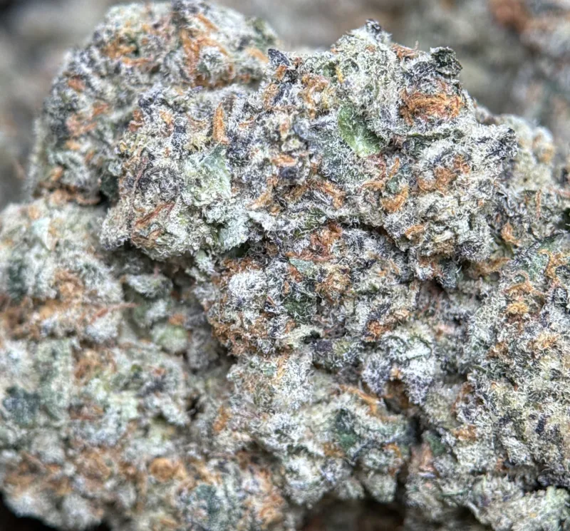 Banana OG photo 7