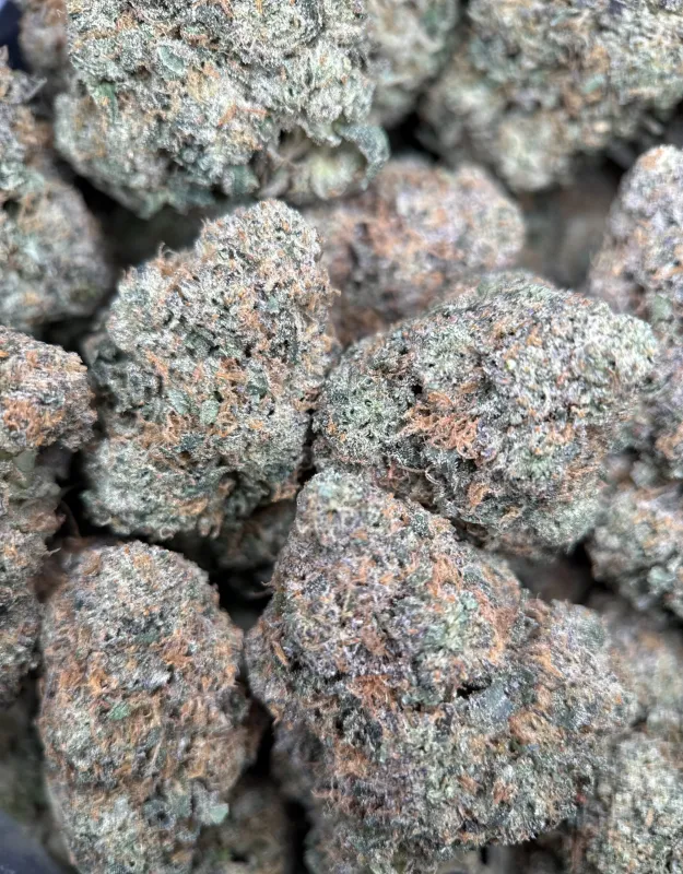 BC Alien Cream Cake photo 6
