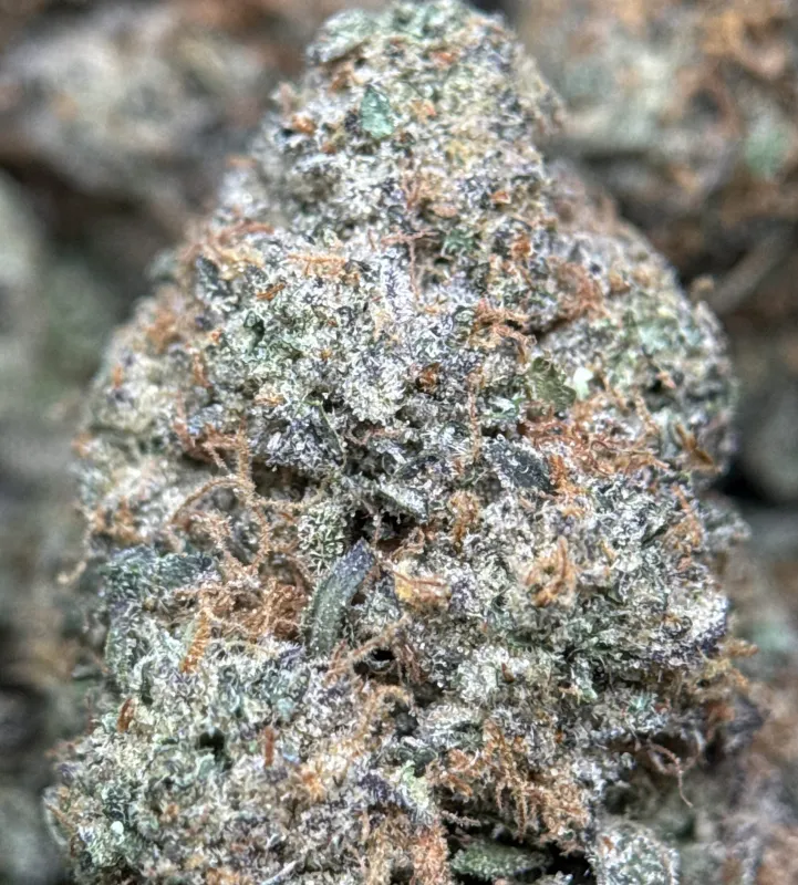BC Alien Cream Cake photo 8