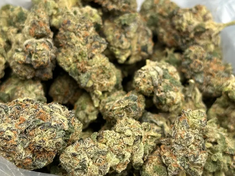 BC Juicy Fruit Sativa photo 2