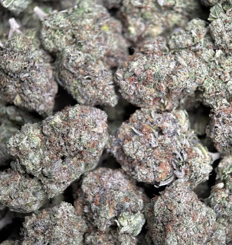 BC Pink Gas photo 3