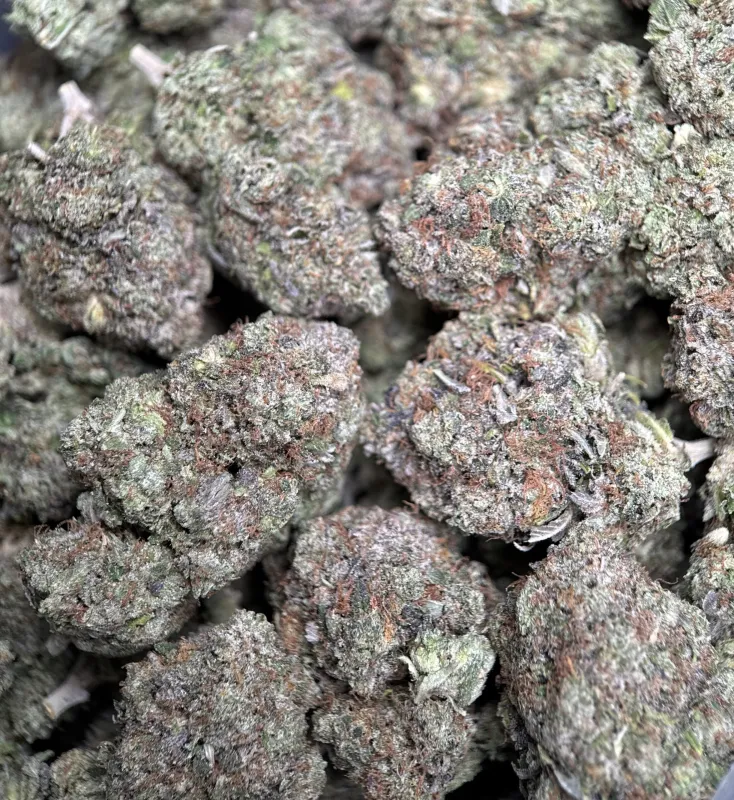 BC Pink Gas photo 4