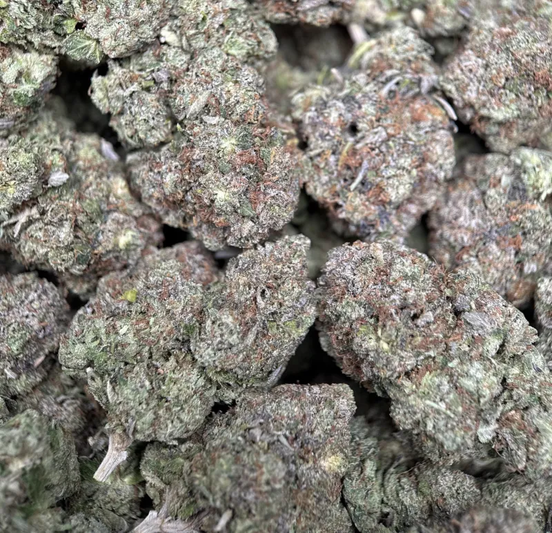BC Pink Gas photo 5