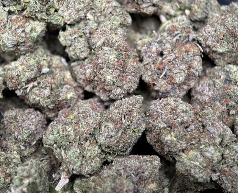 BC Pink Gas photo 6