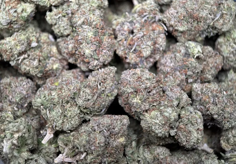 BC Pink Gas photo 7