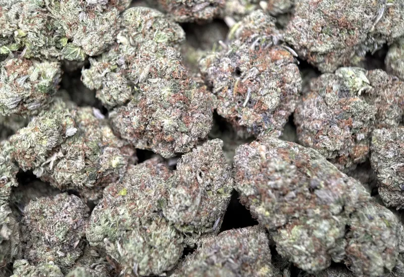 BC Pink Gas photo 8