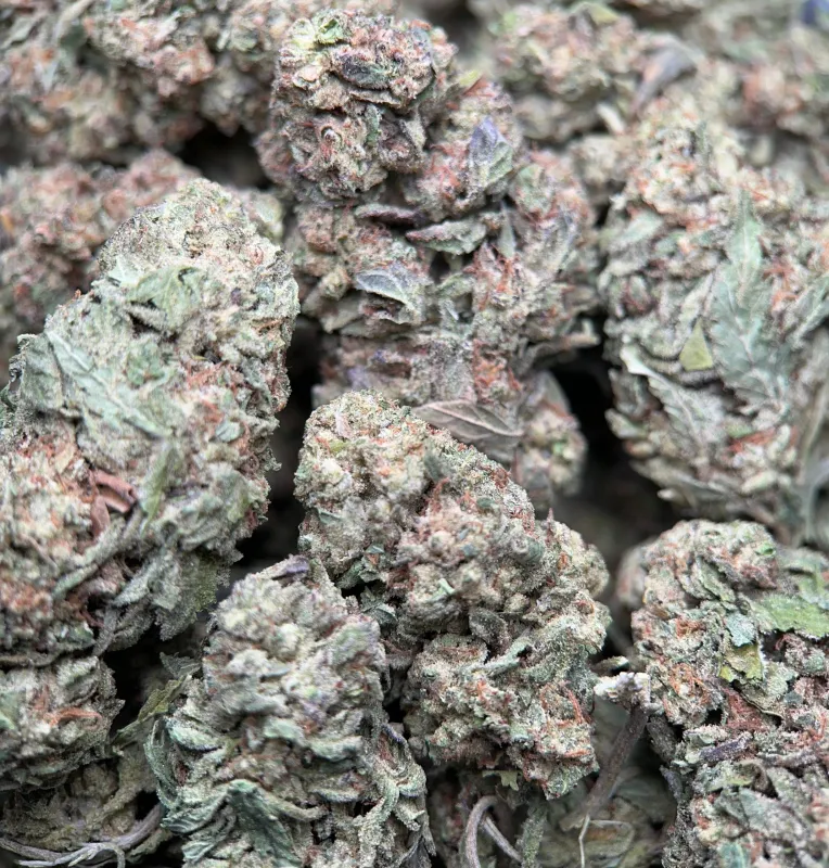 BC Pink Kush - Indica-Dominant Hybrid (THC 31.87%) | UPer Weed Ottawa & Gatineau photo 4