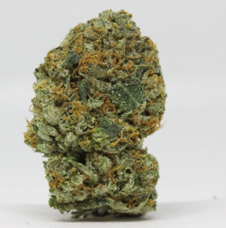 Black Jack