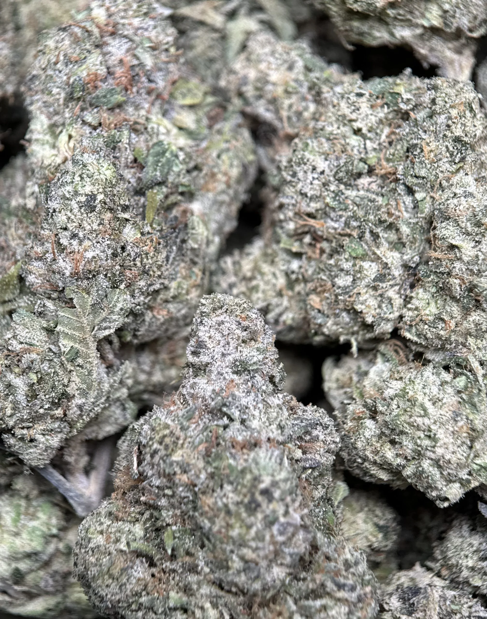 Blue City Diesel photo 4